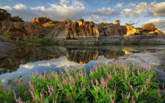 Desktop wallpaper. Nature. ID:50834