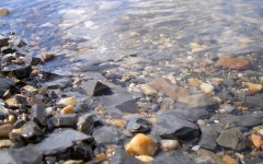 Desktop image. Nature. ID:30206