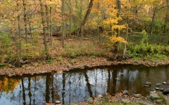 Desktop image. Nature. ID:30211
