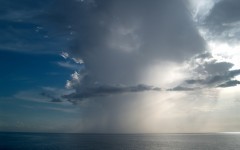 Desktop image. Nature. ID:30212