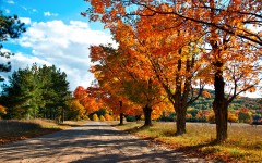 Desktop image. Nature. ID:30213
