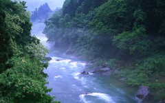 Desktop wallpaper. Nature. ID:30224