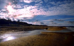 Desktop image. Nature. ID:30229