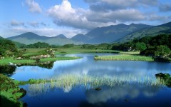 Desktop image. Nature. ID:30239