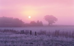 Desktop image. Nature. ID:30240
