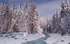 Desktop image. Nature. ID:30242