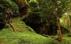 Desktop wallpaper. Nature. ID:30253