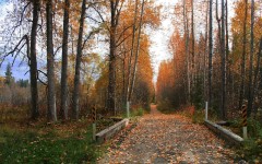 Desktop wallpaper. Nature. ID:30256
