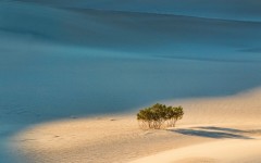 Desktop wallpaper. Nature. ID:50856
