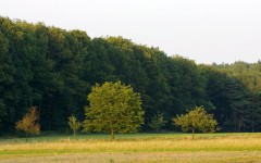 Desktop wallpaper. Nature. ID:30268