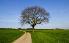 Desktop wallpaper. Nature. ID:30270