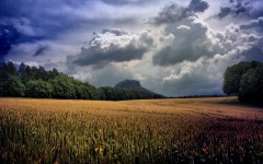 Desktop wallpaper. Nature. ID:30272
