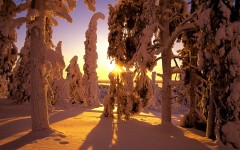 Desktop wallpaper. Nature. ID:30273