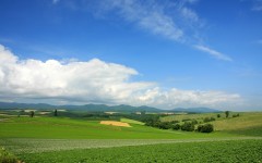 Desktop wallpaper. Nature. ID:30276