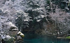 Desktop wallpaper. Nature. ID:30278