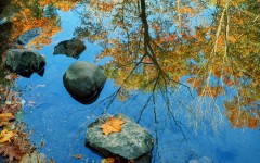 Desktop wallpaper. Nature. ID:30281