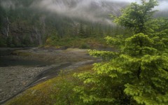 Desktop wallpaper. Nature. ID:30282