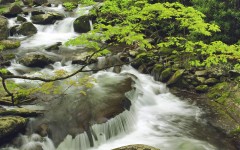 Desktop wallpaper. Nature. ID:30288