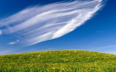 Desktop wallpaper. Nature. ID:30289