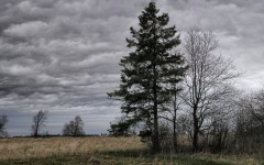 Desktop wallpaper. Nature. ID:30294