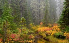 Desktop wallpaper. Nature. ID:30299