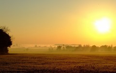Desktop wallpaper. Nature. ID:30300