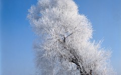 Desktop wallpaper. Nature. ID:30308