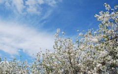 Desktop wallpaper. Nature. ID:30322