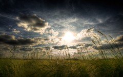Desktop wallpaper. Nature. ID:30330