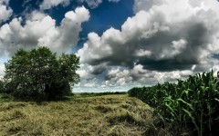 Desktop wallpaper. Nature. ID:30333