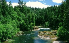 Desktop wallpaper. Nature. ID:30339