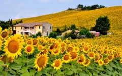 Desktop wallpaper. Nature. ID:51057