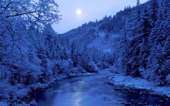 Desktop wallpaper. Nature. ID:30343
