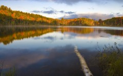 Desktop wallpaper. Nature. ID:30350