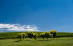 Desktop wallpaper. Nature. ID:30352