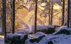 Desktop wallpaper. Nature. ID:30358