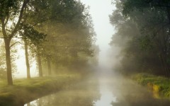 Desktop image. Nature. ID:30359