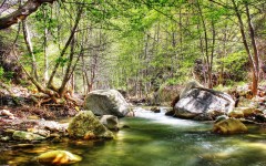 Desktop wallpaper. Nature. ID:30369