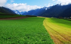 Desktop image. Nature. ID:52026