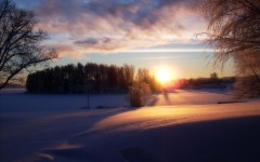 Desktop wallpaper. Nature. ID:30375