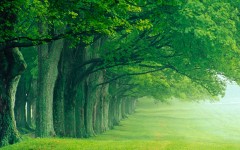 Desktop wallpaper. Nature. ID:30377