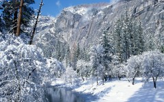 Desktop wallpaper. Nature. ID:30378