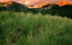 Desktop wallpaper. Nature. ID:30379