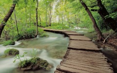 Desktop wallpaper. Nature. ID:30381
