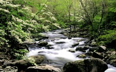Desktop wallpaper. Nature. ID:30383
