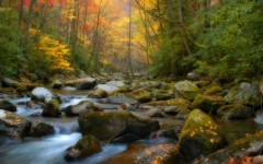 Desktop wallpaper. Nature. ID:30384