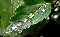 Desktop wallpaper. Nature. ID:30396