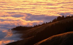 Desktop wallpaper. Nature. ID:30408