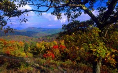 Desktop wallpaper. Nature. ID:30412