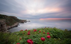 Desktop wallpaper. Nature. ID:50931
